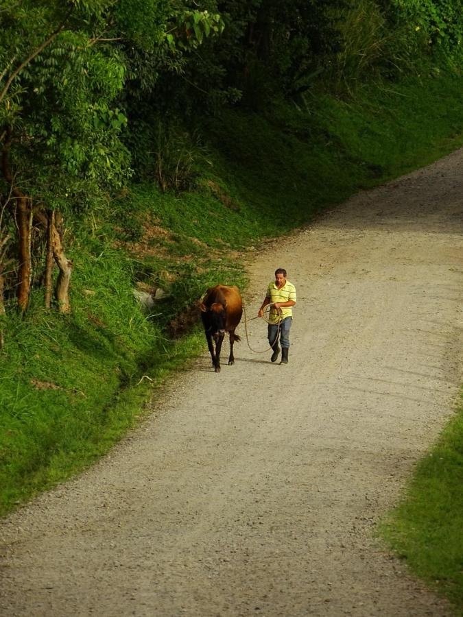 Miztli Lodge & Adventure Monteverde Exteriör bild