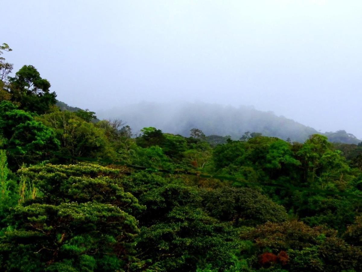 Miztli Lodge & Adventure Monteverde Exteriör bild