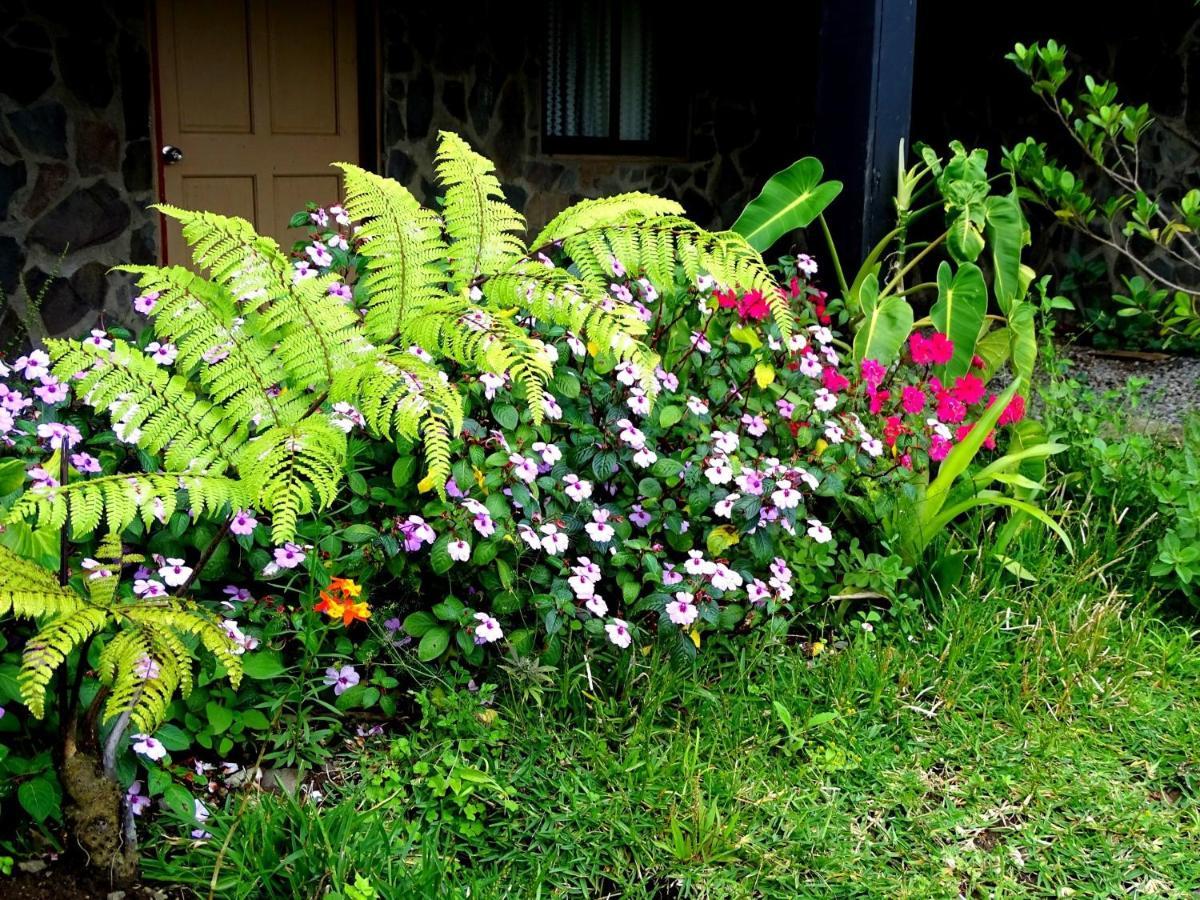 Miztli Lodge & Adventure Monteverde Exteriör bild